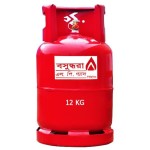 BASHUNDHARA LP GAS - 12KG (EMPTY CYLINDER) Free Delivery
