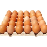 Egg 30pcs tray